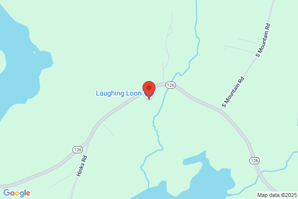 Laughing Loon the