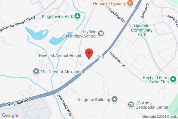 Hayfield Animal Hospital
