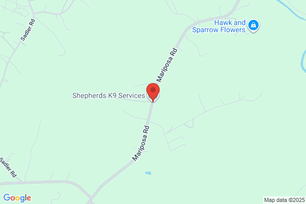 Shepherds K9 Services