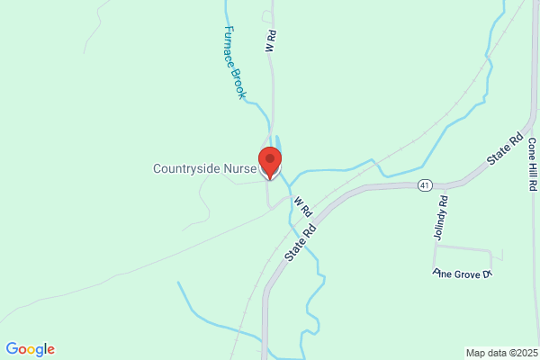 Countryside Nurse