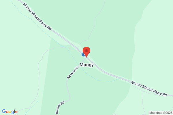 Mungy