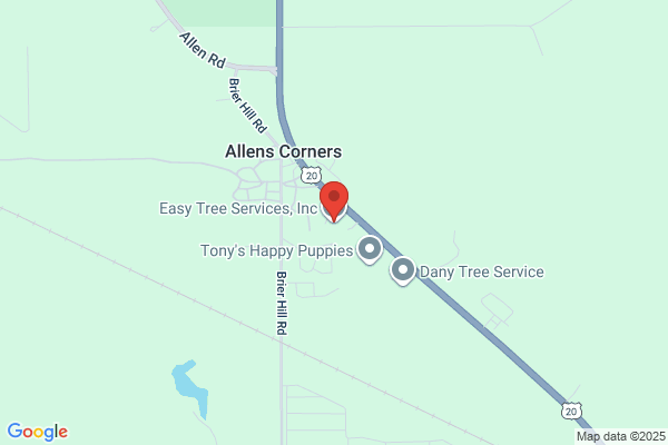 Easy Tree Service