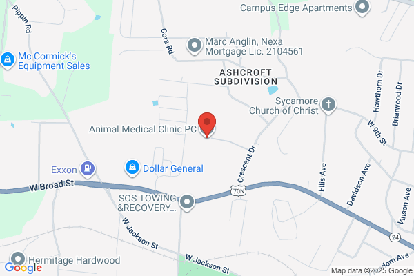 Animal Medical Clinic