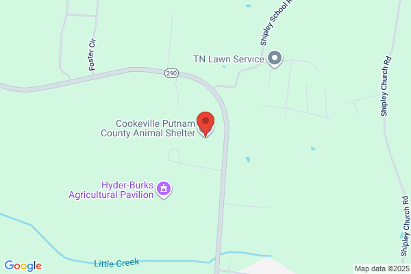 Cookeville Putnam County Animal Shelter