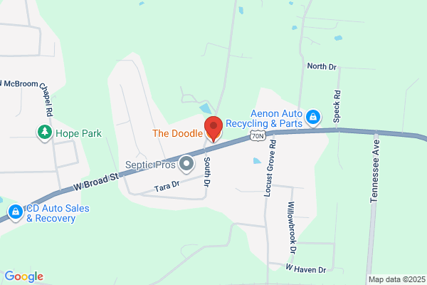 Dipsy Doodle Drive Inn
