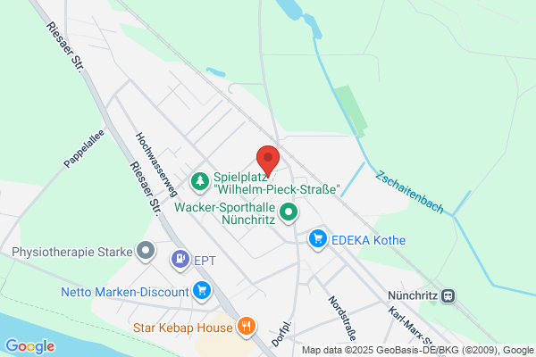 N & M Professional Services