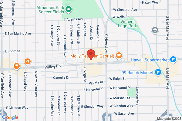 Everlasting Travel Services Inc