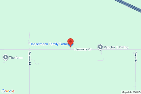 Mansholt Livestock