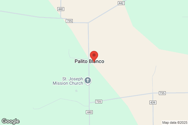 Palito Blanco Market