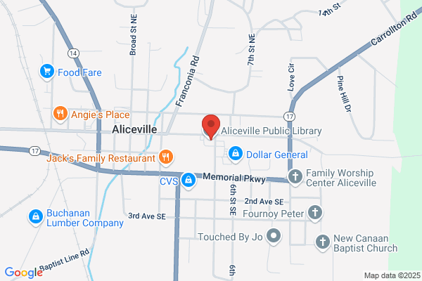 Aliceville Senior Activity