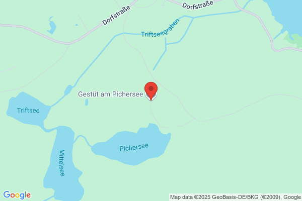 Brierpatch Hunting Club