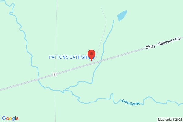 Pine Hill Catfish