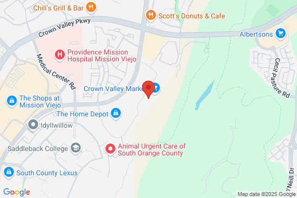 Crown Valley Self Storage #1
