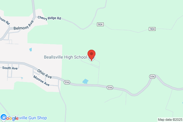 Switzerland of Ohio Local School District, High Schools, Beallsville