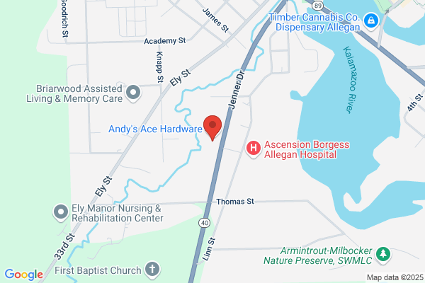 Ace Hardware Allegan