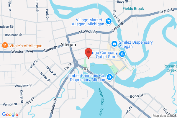 Allegan City of, Library