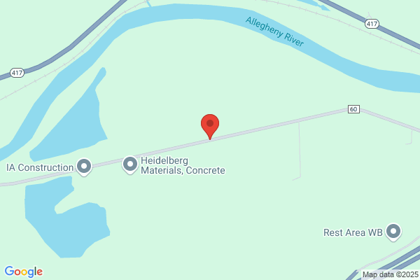 Michele B Simon
