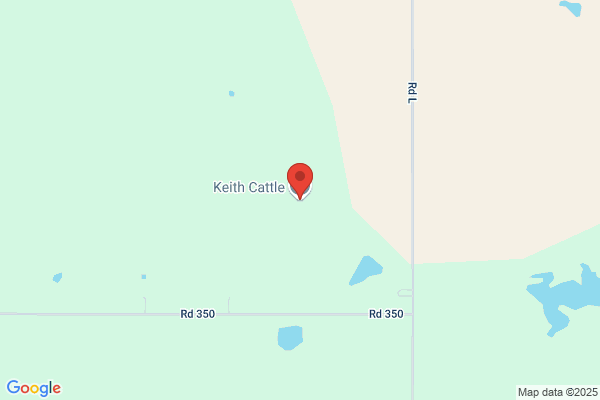 Keith Cattle Co