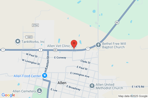 Allen Vet Clinic