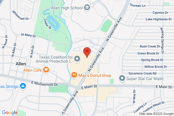 NAPA Auto Parts - Allen TX