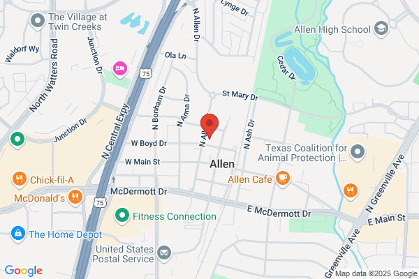 Allen Physical Therapy