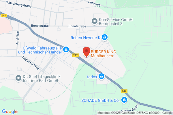 Burger King - Closed