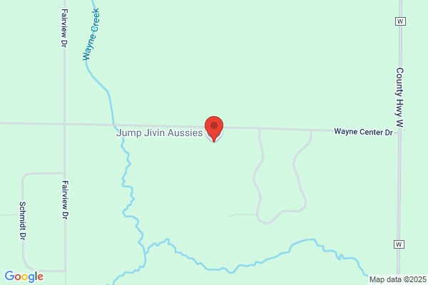 Jump Jivin Aussies