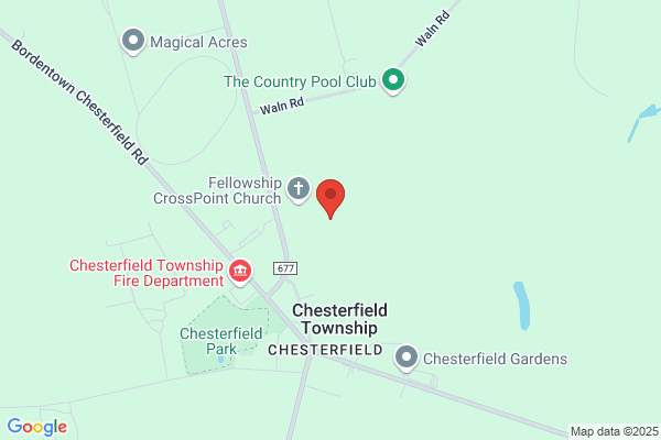 Chesterfield Christmas Trees