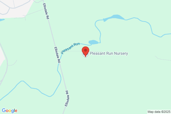 Pleasant Run Nursery