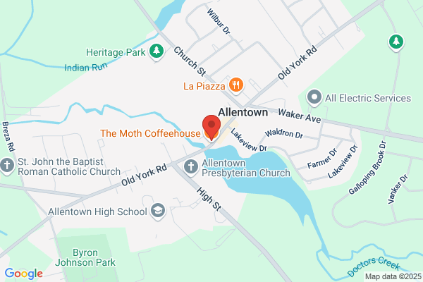 The One Eyed Turtle