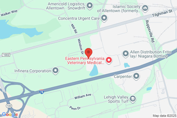 Active Learning Center: Fogelsville