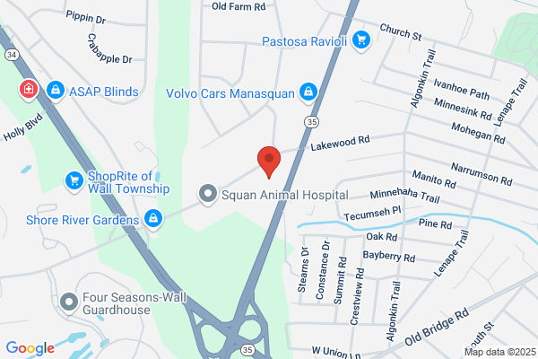 Connect Chiropractic Studio