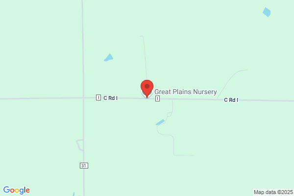 West Pine Tree Farm