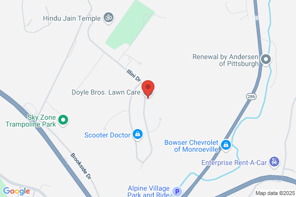 Doyle's Tree & Landscape Co