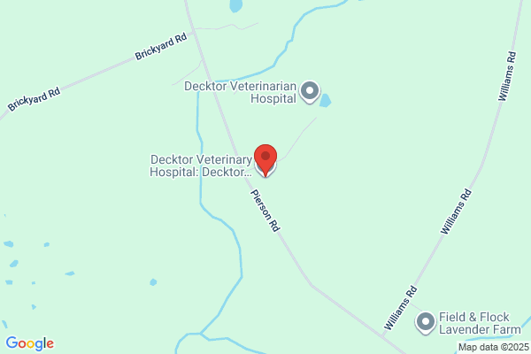 Decktor Veterinary Hospital & Clinic