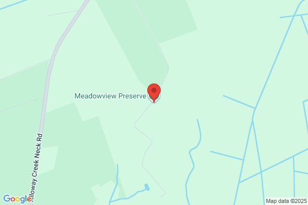 Meadowview Sporting Dog Club & Preserve