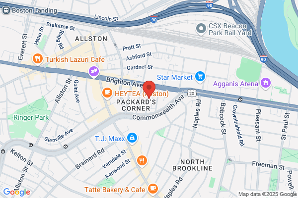 Boston Ornament