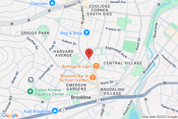 Brookline Spa Inc
