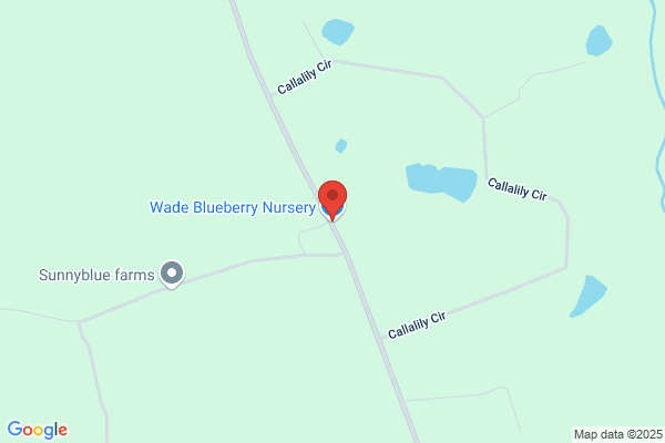 Wade Blueberry Nursery