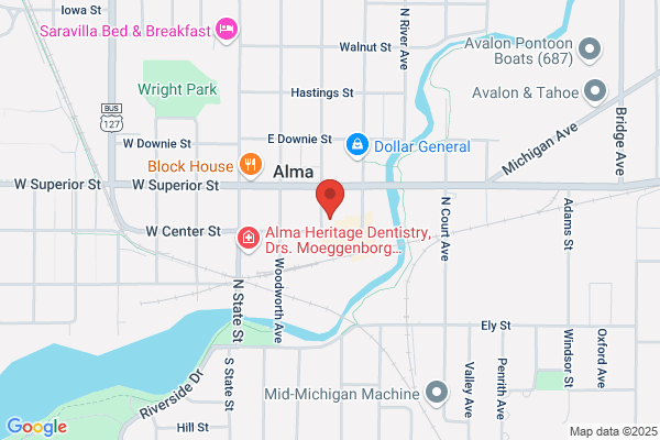 Michigan State Accounting Inc