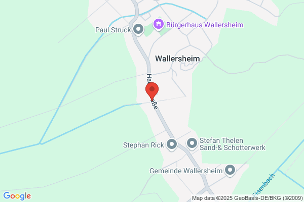 Thelen Construction