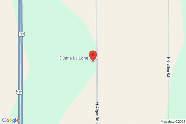 Lalone Duane Inc