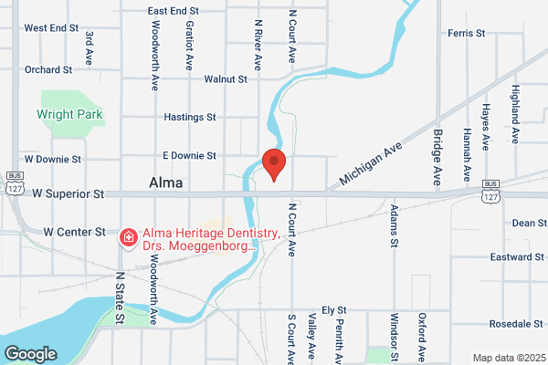 Alma City of, City Treasurer
