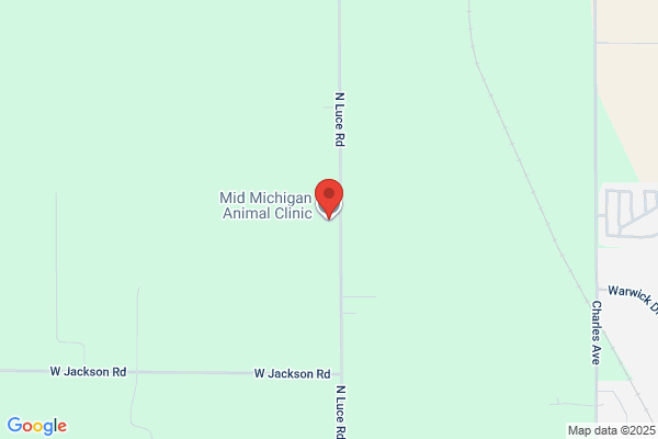 Mid Michigan Animal Clinic