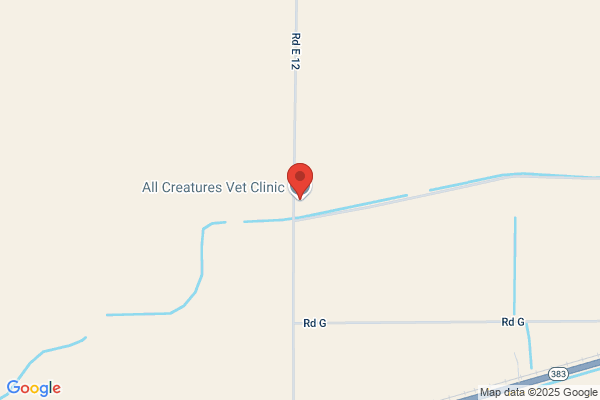 All Creatures Vet Clinic