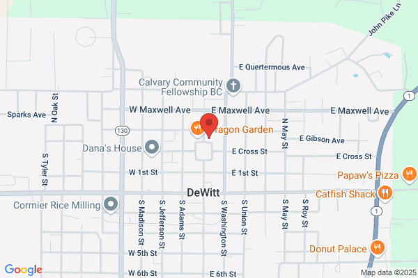 Dewitt Municipal Water Works