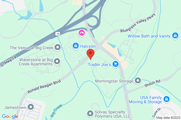 Dogtopia of Alpharetta at Halcyon
