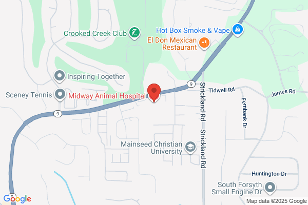 Midway Animal Hospital