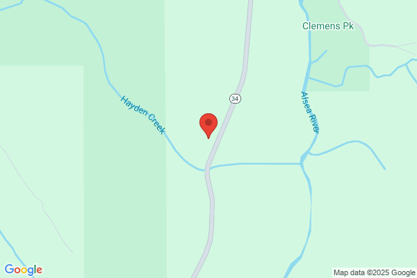 Davis Forest Management