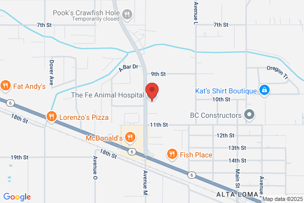 The Fe Animal Hospital